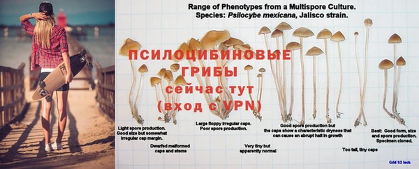 амф Балабаново