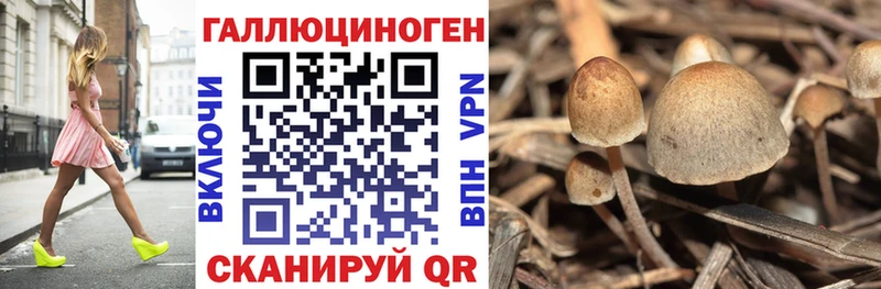 что такое   Усинск  гидра ТОР  Псилоцибиновые грибы Magic Shrooms 